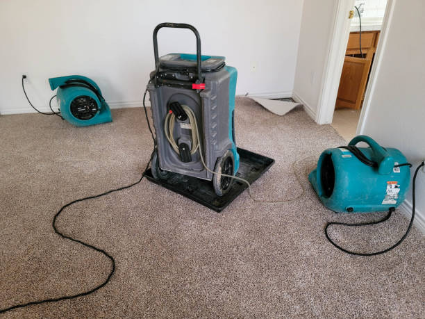 Best 24/7 water damage repair  in Salton City, CA