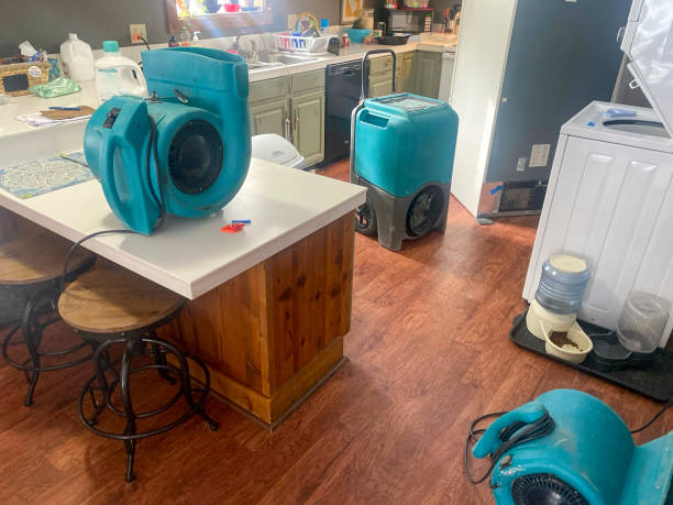 Best Sewage cleanup and water damage restoration  in Salton City, CA