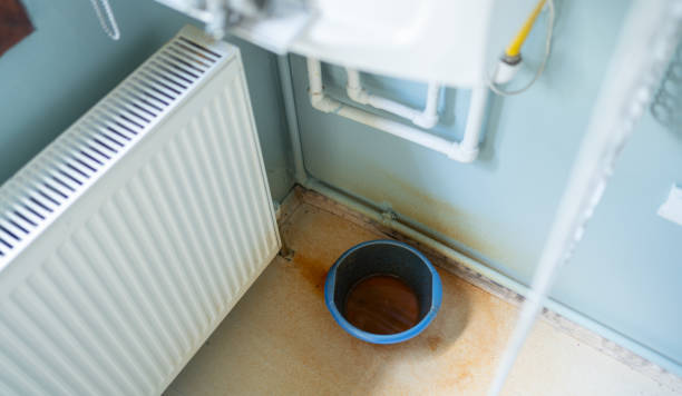 Best Professional water damage repair  in Salton City, CA